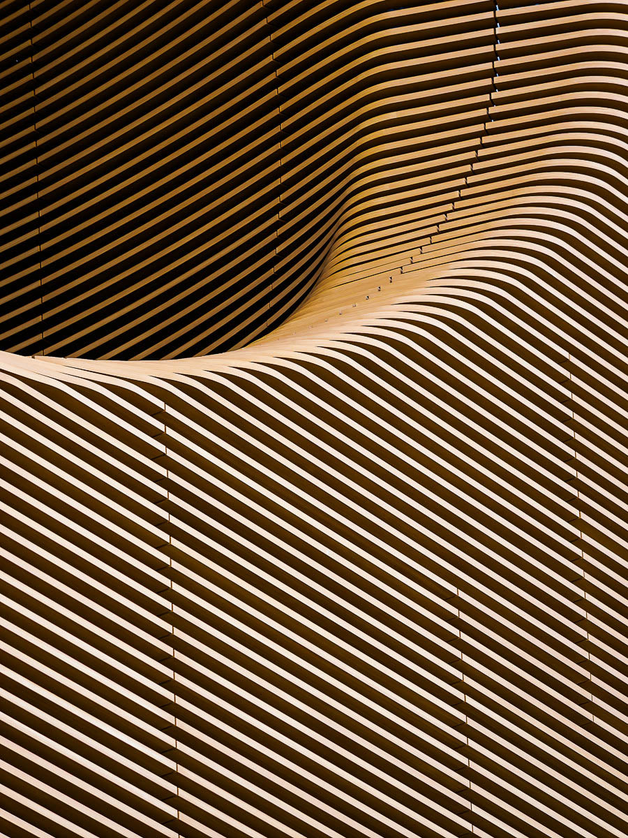 Sliced Curve. Shibuya, Tokyo 2024.