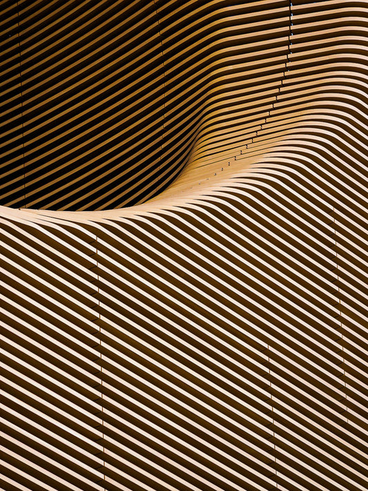 Sliced Curve. Shibuya, Tokyo 2024.