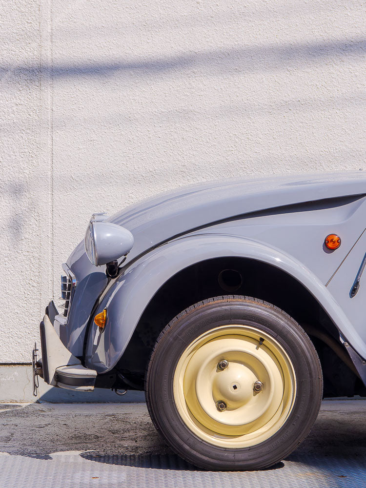 Tin Snail. Aoyama, Tokyo 2024.