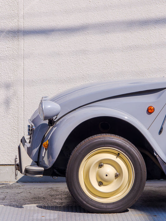 Tin Snail. Aoyama, Tokyo 2024.